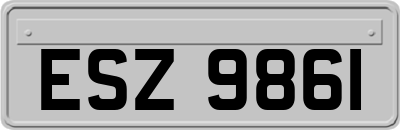 ESZ9861