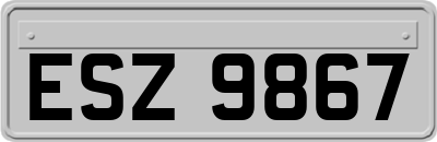 ESZ9867
