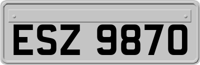 ESZ9870