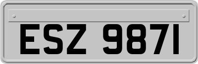 ESZ9871