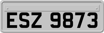 ESZ9873