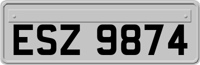 ESZ9874