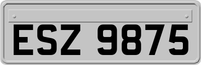 ESZ9875