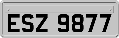ESZ9877