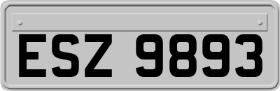 ESZ9893