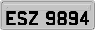 ESZ9894