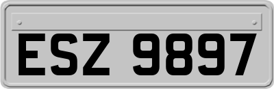 ESZ9897