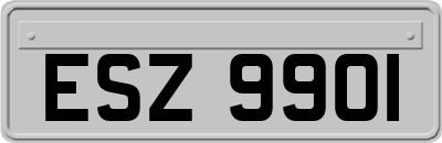 ESZ9901