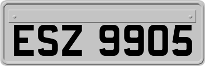 ESZ9905
