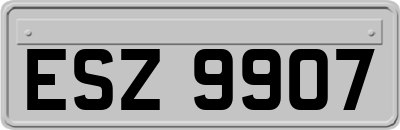 ESZ9907