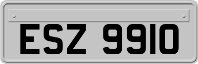 ESZ9910