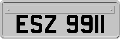 ESZ9911