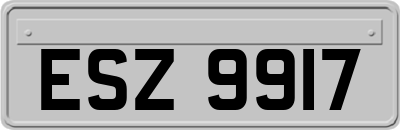 ESZ9917