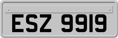 ESZ9919
