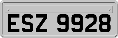 ESZ9928