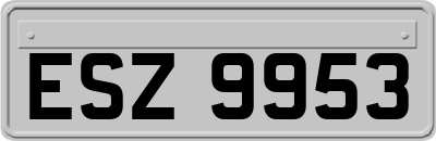 ESZ9953