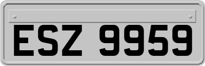 ESZ9959