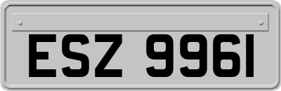 ESZ9961