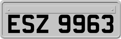 ESZ9963