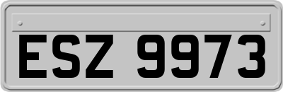 ESZ9973