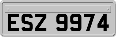 ESZ9974