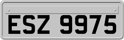 ESZ9975