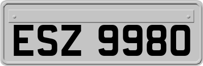 ESZ9980