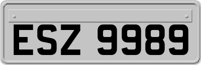 ESZ9989