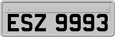 ESZ9993