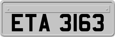 ETA3163