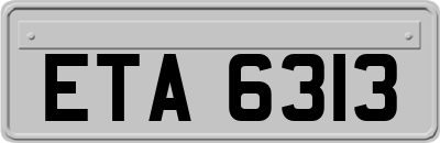 ETA6313