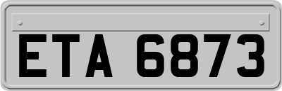 ETA6873