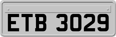 ETB3029