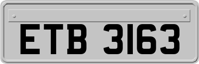 ETB3163