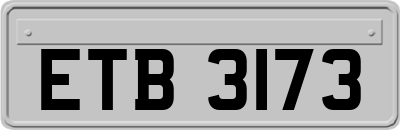 ETB3173