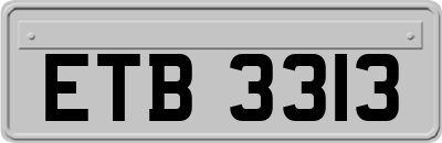 ETB3313