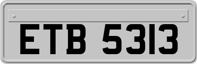 ETB5313