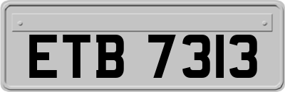 ETB7313