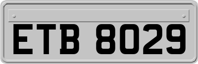 ETB8029