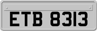 ETB8313