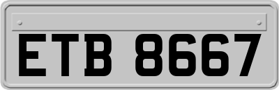 ETB8667