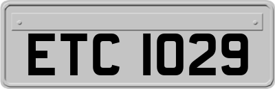 ETC1029