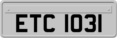 ETC1031