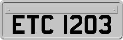 ETC1203