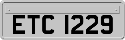 ETC1229
