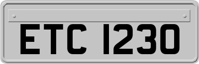 ETC1230