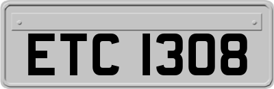 ETC1308