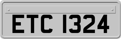 ETC1324