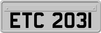 ETC2031