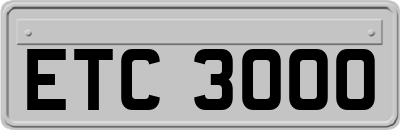ETC3000